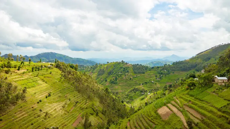 Rwanda Specialty Coffee