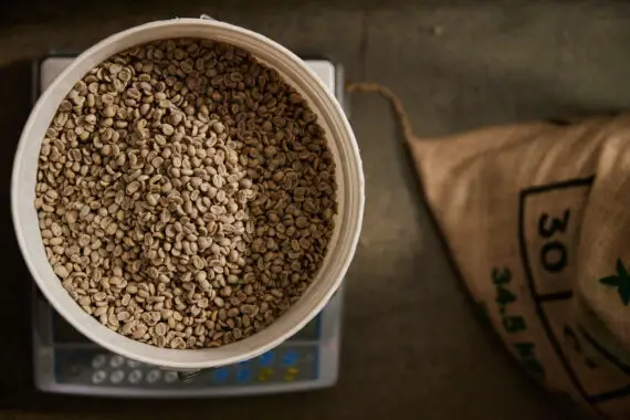 Roastery Tour and Coffee Tasting - Image 2